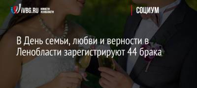 В День семьи, любви и верности в Ленобласти зарегистрируют 44 брака - ivbg.ru - Украина - Ленинградская обл.