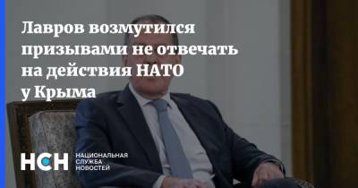 Сергей Лавров - Лавров возмутился призывами не отвечать на действия НАТО у Крыма - nsn.fm - Россия - Украина - Крым - Япония