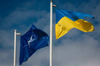 Владимир Зеленский - Джеймс Аппатурай - В НАТО объяснили позицию по членству Украины в альянсе - interaffairs.ru - Украина - Киев