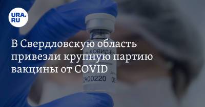 Павел Креков - В Свердловскую область привезли крупную партию вакцины от COVID - ura.news - Свердловская обл.