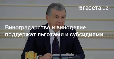 Виноградарство и виноделие поддержат льготами и субсидиями - gazeta.uz - Узбекистан