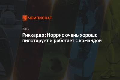Максим Ферстаппен - Риккардо сравнил Норриса с Ферстаппеном - championat.com