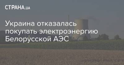 Ингрида Шимоните - Денис Шмыгаль - Дмитрий Кулеба - Украина отказалась покупать электроэнергию Белорусской АЭС - strana.ua - Украина - Белоруссия - Литва