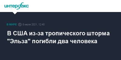 В США из-за тропического шторма "Эльза" погибли два человека - interfax.ru - Москва - США - шт.Флорида - шт. Джорджия