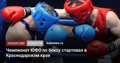 Александр Власов - Чемпионат ЮФО по боксу стартовал в Краснодарском крае - kubnews.ru - Россия - Крым - Краснодарский край - Севастополь - Астраханская обл. - Ростовская обл. - респ. Адыгея - Волгоградская обл. - респ. Калмыкия