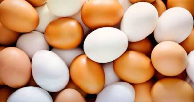Олег Бахматюк - Светлана Литвин - Украинцам обещают подорожание яиц почти вдвое. К росту цен приложило руку и НАБУ - dsnews.ua - Украина