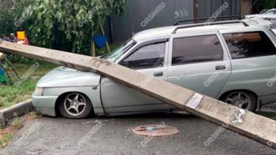 На Орск обрушилась стихия: деревья падают на автомобили - vesti.ru - Россия - Оренбург