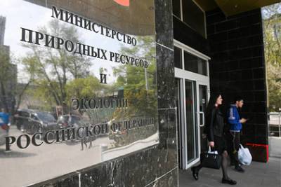 Илья Торосов - В российском правительстве разгорелся конфликт из-за бюджета - lenta.ru - Россия - Экология