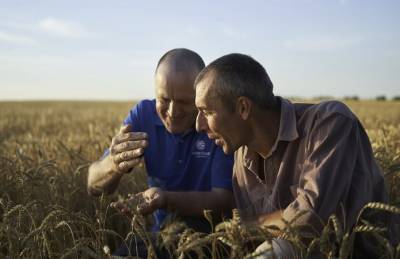 Corteva Agriscience запустила проект по строхованию фермеров - agroportal.ua - Украина