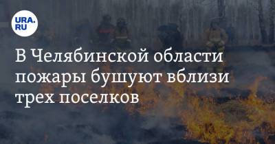 Сергей Лавров - В Челябинской области пожары бушуют вблизи трех поселков - ura.news - Челябинская обл.