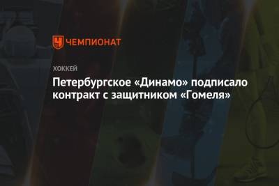 Олег Попов - Петербургское «Динамо» подписало контракт с защитником «Гомеля» - championat.com - Санкт-Петербург - Белоруссия - Югра - Гомель