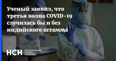 Сергей Нетесов - Ученый заявил, что третья волна COVID-19 случилась бы и без индийского штамма - nsn.fm - Россия