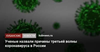 Сергей Нетесов - Ученые назвали причины третьей волны коронавируса в России - kubnews.ru - Россия