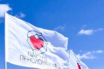 Партия пенсионеров подала в ЦИК документы для регистрации кандидатов в Госдуму - chita.ru