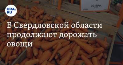 Евгений Куйвашев - В Свердловской области продолжают дорожать овощи. Не помог даже гнев Куйвашева - ura.news - Свердловская обл.
