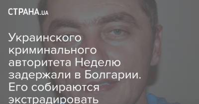 Украинского криминального авторитета Неделю задержали в Болгарии. Его собираются экстрадировать - strana.ua - Украина - Киев - Болгария - Sofia