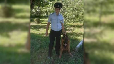 В Воронежской области пёс вышел на след избившего пенсионеров грабителя - vestivrn.ru - Воронежская обл.