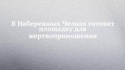 В Набережных Челнах готовят площадку для жертвоприношения - chelny-izvest.ru - Набережные Челны