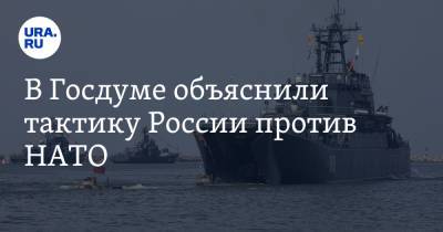 В Госдуме объяснили тактику России против НАТО - ura.news - Россия - США
