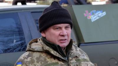 Андрей Таран - Министр обороны Украины попросил НАТО заменить украинскую армию в Донбассе - newdaynews.ru - Украина - Российская Империя