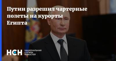 Владимир Путин - Абдель Фаттах - Путин разрешил чартерные полеты на курорты Египта - nsn.fm - Россия - Египет - Каир