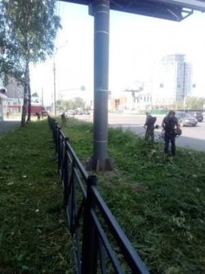 В Вологде новые подрядчики приступил к покосу травы - vologda-poisk.ru - Башкирия - Вологда - Череповец