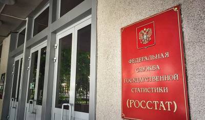 Алексей Ракша - Названы уловки Росстата при публикации неутешительной статистики - newizv.ru