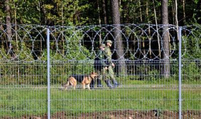 Ингрида Шимоните - В Европе сочли неэффективной идею Литвы построить забор с Белоруссией - obzor.lt - Белоруссия - Литва - Греция