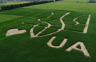 В Украине вырастили рекордный трезубец - agroportal.ua - Украина