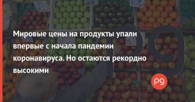 Мировые цены на продукты упали впервые с начала пандемии коронавируса. Но остаются рекордно высокими - thepage.ua - Украина
