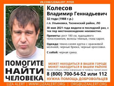 Элизабет Алерт - В Тосненском районе больше месяца ищут без вести пропавшего 32-летнего мужчину - ivbg.ru - Украина - Ленобласть