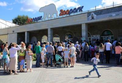 В Ленинградском зоопарке размножились краснорукие тамарины - neva.today - Ленинградская обл. - Санкт-Петербург