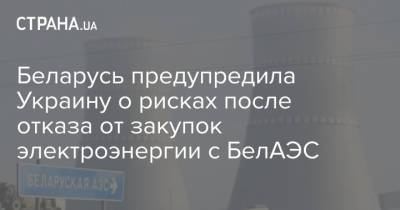 Ингрида Шимоните - Денис Шмыгаль - Беларусь предупредила Украину о рисках после отказа от закупок электроэнергии с БелАЭС - strana.ua - Украина - Белоруссия - Литва