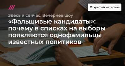 Борис Вишневский - Роман Юнеман - «Фальшивые кандидаты»: почему в списках на выборы появляются однофамильцы известных политиков - tvrain.ru - Москва - Россия - Санкт-Петербург
