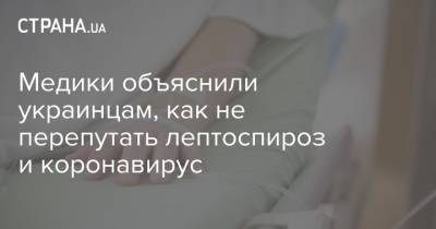 Медики объяснили украинцам, как не перепутать лептоспироз и коронавирус - strana.ua - Украина
