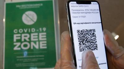 В Волгоградской области ввели QR-коды для ресторанов и музеев - 5-tv.ru - Москва - Россия - Свердловская обл. - Курская обл. - Волгоградская обл. - Оренбургская обл.