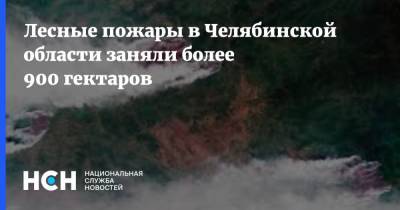Лесные пожары в Челябинской области заняли более 900 гектаров - nsn.fm - Россия - Челябинская обл. - район Нагайбакский