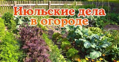 Благоприятные дни для работ в огороде по лунному календарю в июле 2021 года - skuke.net