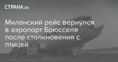 Миланский рейс вернулся в аэропорт Брюсселя после столкновения с птицей - strana.ua - Украина - Бельгия - Брюссель - Brussels