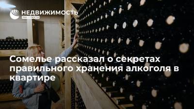 Сомелье рассказал о секретах правильного хранения алкоголя в квартире - realty.ria.ru - Москва
