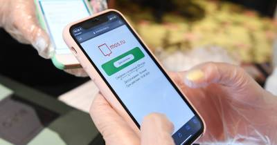 В Москве возбудили первое уголовное дело о покупке поддельного QR-кода - moslenta.ru - Москва - Россия