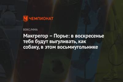 Дастин Порье - Конор Макгрегор - Макгрегор – Порье: в воскресенье тебя будут выгуливать, как собаку, в этом восьмиугольнике - championat.com
