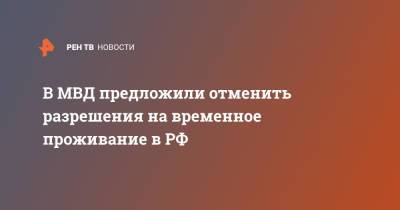 В МВД предложили отменить разрешения на временное проживание в РФ - ren.tv - Россия
