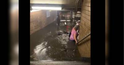 Повінь в Нью-Йорку: метро затопило водою — приголомшливі відео - fakty.ua - Украина - шт.Флорида - Twitter