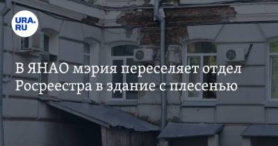 В ЯНАО мэрия переселяет отдел Росреестра в здание с плесенью - ura.news - Россия - окр. Янао