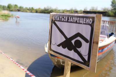 В Кургане вода в Тоболе на Бабьих песках не соответствует нормам - kikonline.ru - Курганская обл. - Курган