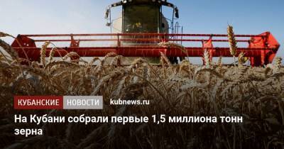 Вениамин Кондратьев - На Кубани собрали первые 1,5 миллиона тонн зерна - kubnews.ru - Краснодарский край