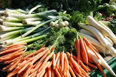 Продуктовая ярмарка в Ставрополе состоится на Куйбышева - kavkaz.mk.ru - Ставрополье - Ставрополь