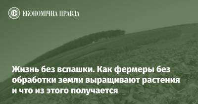 Жизнь без вспашки. Как фермеры без обработки земли выращивают растения и что из этого получается - epravda.com.ua - США - Украина - Канада