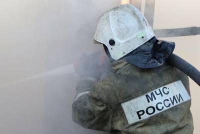 При пожаре в Мичуринске погиб 42-летний мужчина - tambov.mk.ru - Мичуринск